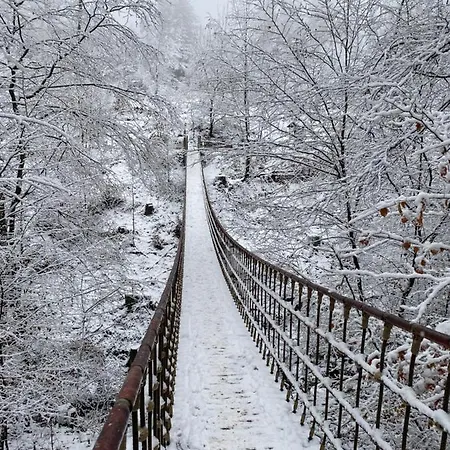 Bienengarten * Бинген-на-Рейне