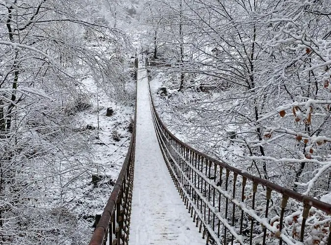 Bienengarten * Bingen am Rhein